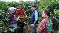 Sistem Pagar dan PHC Genjot Produktivitas Kopi Lampung Barat - Gubernur Rahmat Mirzani Djausal - 1 Sistem Pagar dan PHC Genjot Produktivitas Kopi Lampung Barat - Gubernur Rahmat Mirzani Djausal - 1