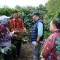 Sistem Pagar dan PHC Genjot Produktivitas Kopi Lampung Barat - Gubernur Rahmat Mirzani Djausal - 1