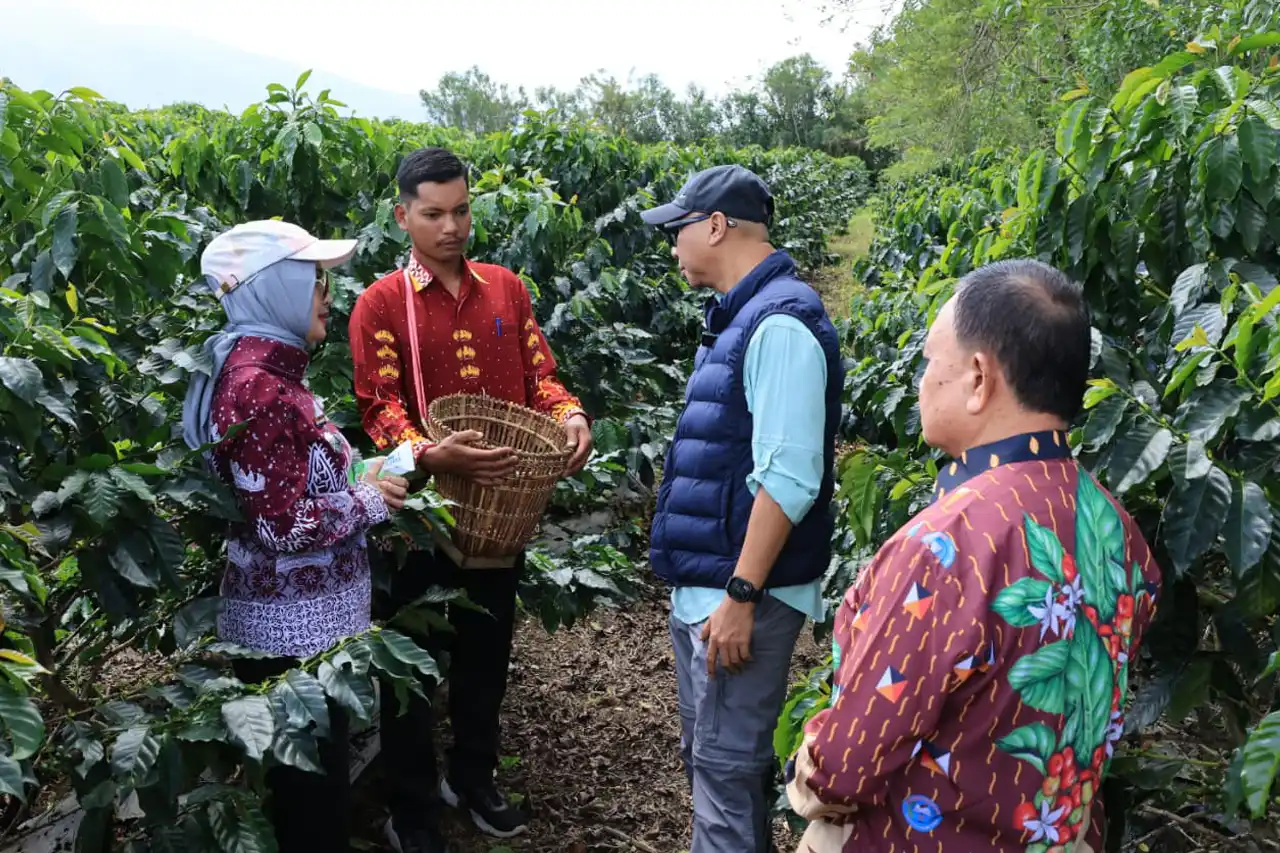 Sistem Pagar dan PHC Genjot Produktivitas Kopi Lampung Barat - Gubernur Rahmat Mirzani Djausal - 1