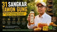 31 Sangkar Tawon Gung di Pohon Sialang Penghasil Madu Hutan Berkualitas - Mahendra Utama 31 Sangkar Tawon Gung di Pohon Sialang Penghasil Madu Hutan Berkualitas - Mahendra Utama
