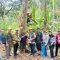 BPHL Wilayah VI Ungkap Potensi Ekonomi Wanatani Damar Pesisir Barat Model Multiusaha Kehutanan Berkelanjutan - 1