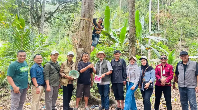 BPHL Wilayah VI Ungkap Potensi Ekonomi Wanatani Damar Pesisir Barat Model Multiusaha Kehutanan Berkelanjutan - 1