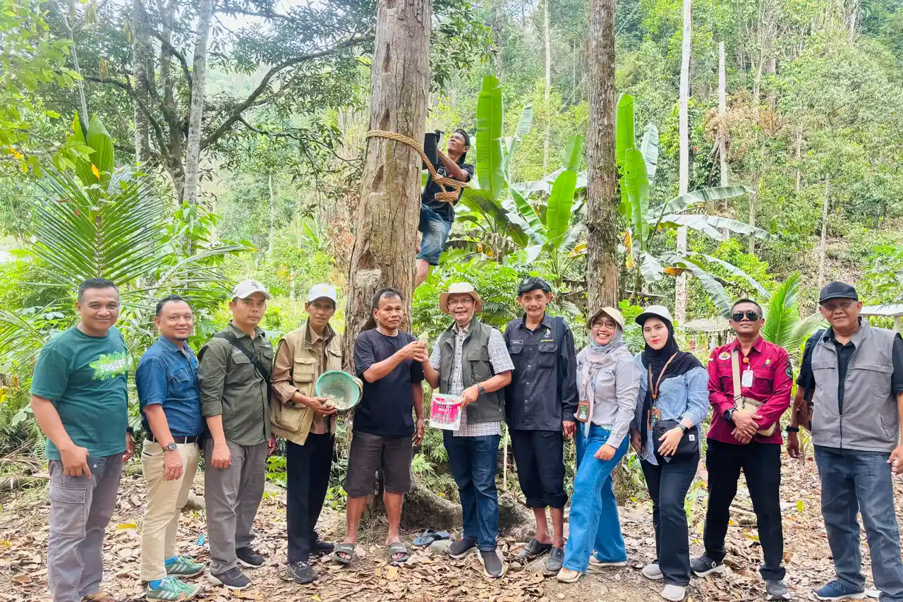 BPHL Wilayah VI Ungkap Potensi Ekonomi Wanatani Damar Pesisir Barat Model Multiusaha Kehutanan Berkelanjutan - 1