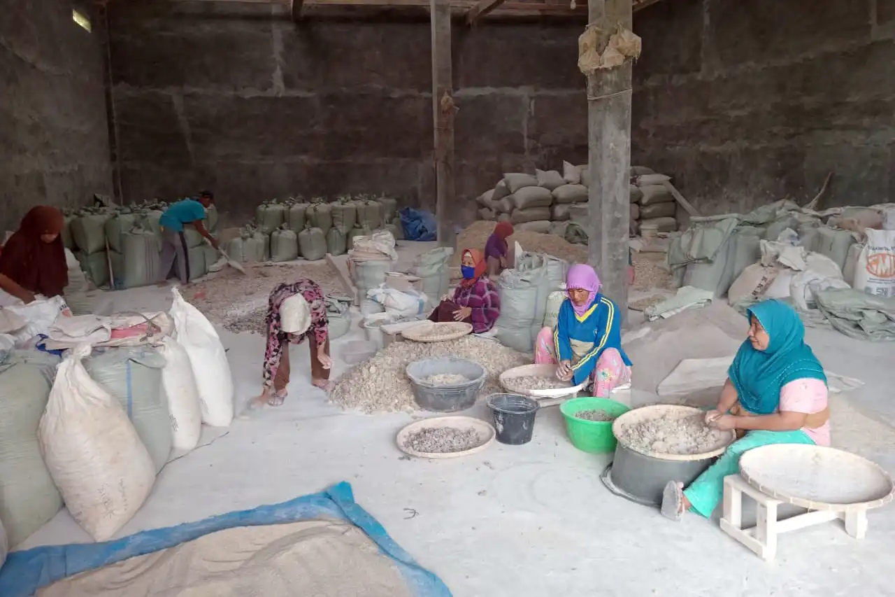 BPHL Wilayah VI Ungkap Potensi Ekonomi Wanatani Damar Pesisir Barat Model Multiusaha Kehutanan Berkelanjutan - 3