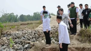 Jaga Sawah Saat Kemarau Lampung Timur Ela Siti Nuryamah Bangun Embung Cadangan Air di Pekalongan.webp
