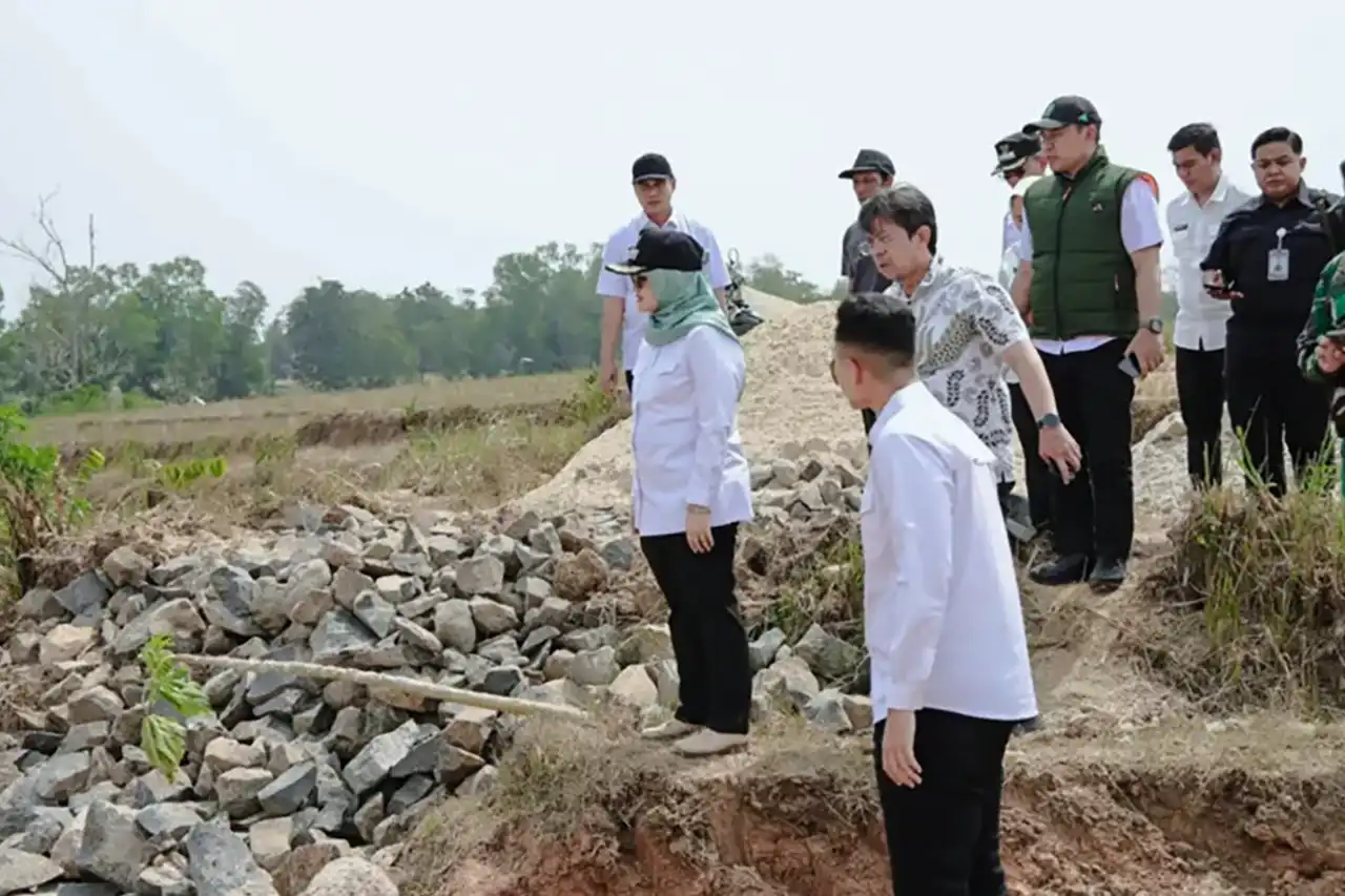 Jaga Sawah Saat Kemarau Lampung Timur Ela Siti Nuryamah Bangun Embung Cadangan Air di Pekalongan.webp