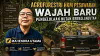 Agroforestri HKm Pesawaran Wajah Baru Pengelolaan Hutan Berkelanjutan - Mahendra Utama Agroforestri HKm Pesawaran Wajah Baru Pengelolaan Hutan Berkelanjutan - Mahendra Utama