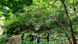 Kemenhut Satukan Langkah Tata Kelola 108 Juta Hektare Hutan Jawa - Yopie Pangkey