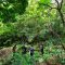 Kemenhut Satukan Langkah Tata Kelola 108 Juta Hektare Hutan Jawa - Yopie Pangkey