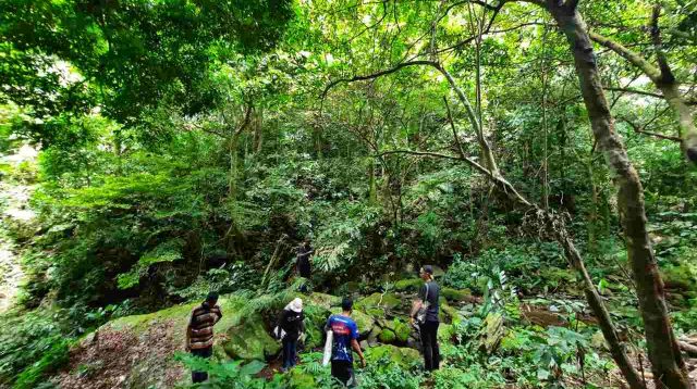 Kemenhut Satukan Langkah Tata Kelola 108 Juta Hektare Hutan Jawa - Yopie Pangkey