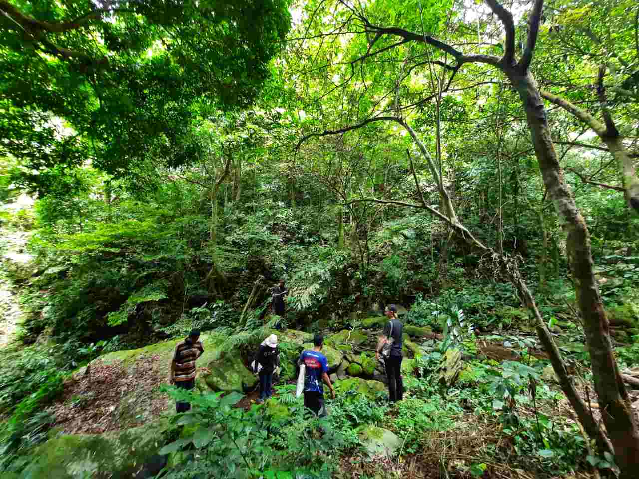 Kemenhut Satukan Langkah Tata Kelola 108 Juta Hektare Hutan Jawa - Yopie Pangkey