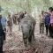 Menhut Raja Juli Antoni Tinjau Fasilitas Mitigasi Gajah di Way Kambas Akses Warga Perlu Dipastikan
