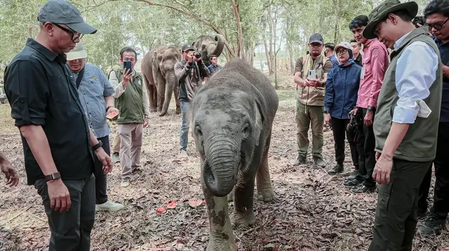Menhut Raja Juli Antoni Tinjau Fasilitas Mitigasi Gajah di Way Kambas Akses Warga Perlu Dipastikan