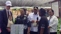 Papua dan Inggris Luncurkan Peta Jalan Kakao Berkelanjutan