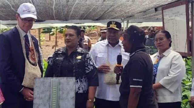 Papua dan Inggris Luncurkan Peta Jalan Kakao Berkelanjutan