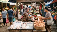 Surplus Telur dan Daging Tapi Konsumsi Protein Warga Lampung Masih Rendah Ini Rencana Pemprov Surplus Telur dan Daging Tapi Konsumsi Protein Warga Lampung Masih Rendah Ini Rencana Pemprov