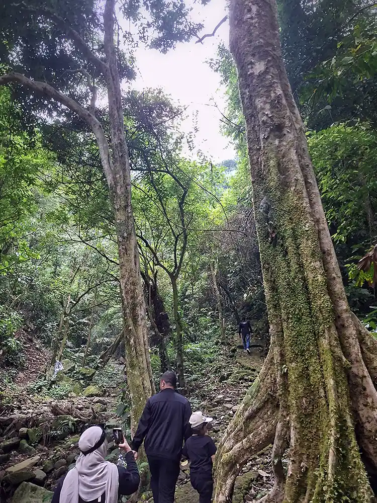 Wabup Pesawaran Antonius Muhammad Ali Jelajahi Desa Harapan Jaya Way Ratai, dari Kebun Kopi hingga Air Terjun 4 - Yopie Pangkey