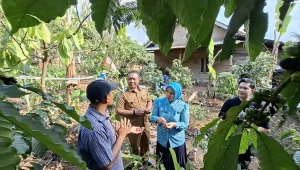 Wakil BUpati Wabup Antonius Muhammad Ali Skema IAD Perhutanan Sosial Bantu Pembangunan Daerah - Yopie Pangkey 1