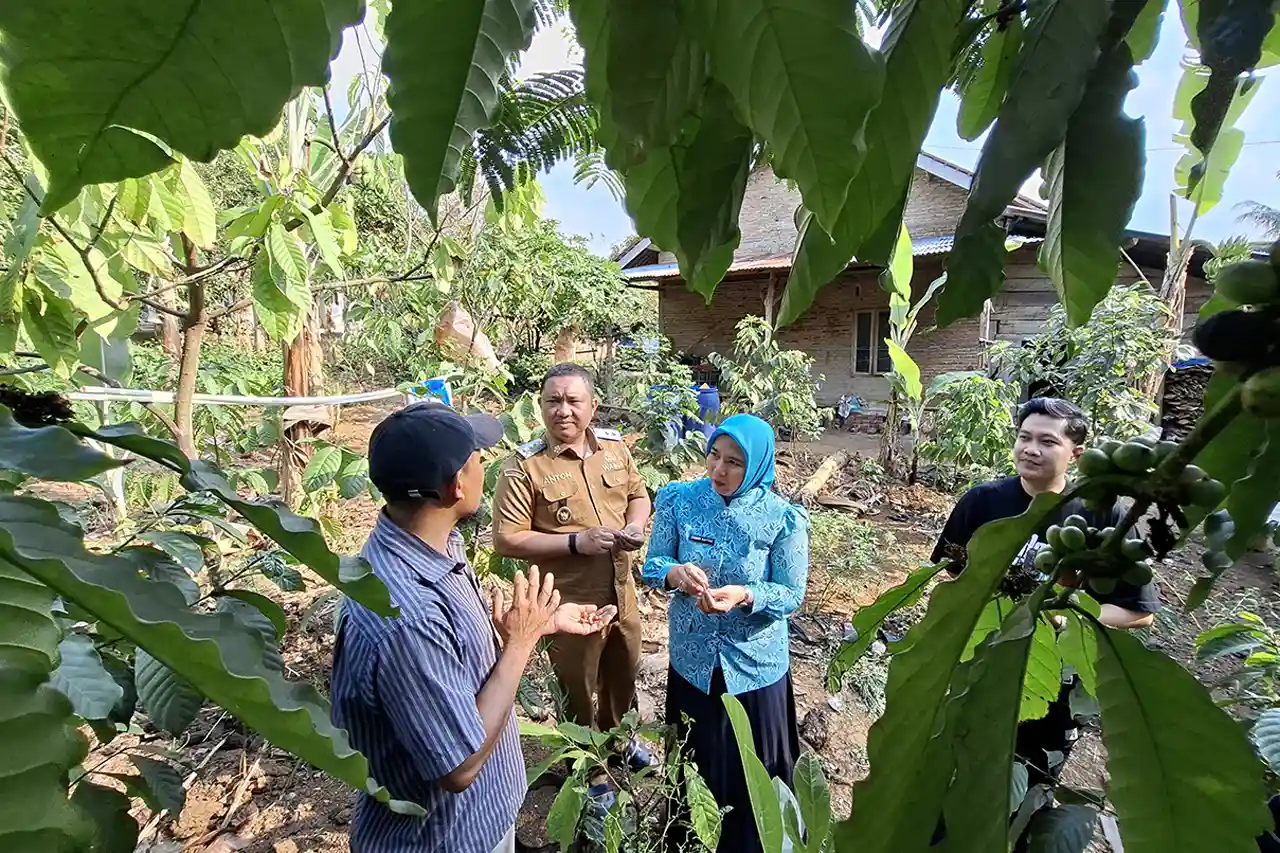 Wakil BUpati Wabup Antonius Muhammad Ali Skema IAD Perhutanan Sosial Bantu Pembangunan Daerah - Yopie Pangkey 1