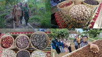 Hilirisasi Hutan Lampung Kunci Ekonomi Warga Naik Kelas - Mahendra Utama Hilirisasi Hutan Lampung Kunci Ekonomi Warga Naik Kelas - Mahendra Utama