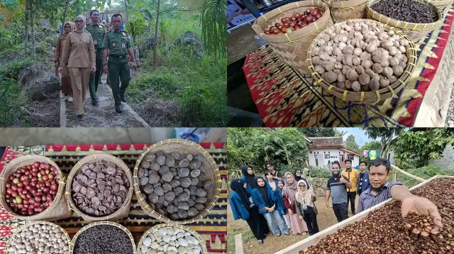 Hilirisasi Hutan Lampung Kunci Ekonomi Warga Naik Kelas - Mahendra Utama