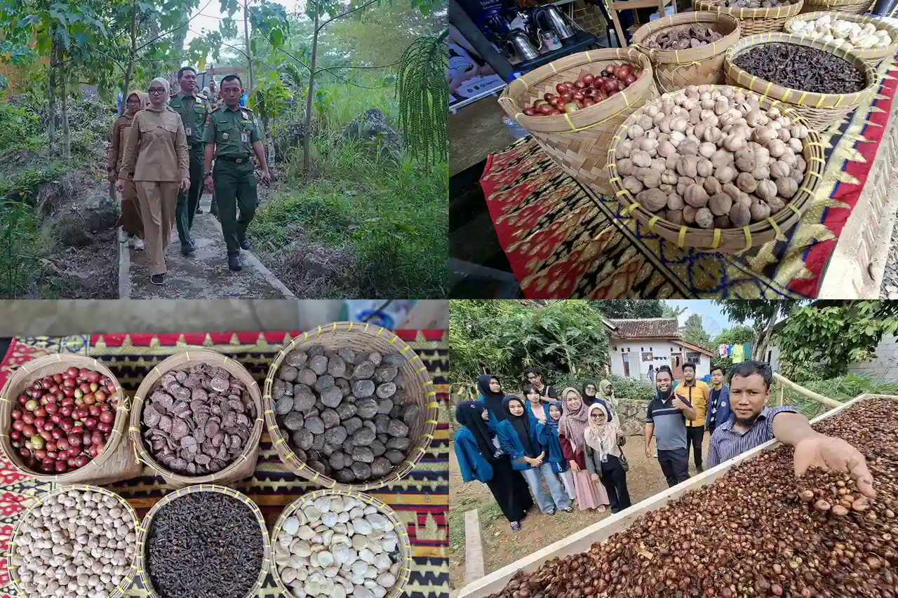 Hilirisasi Hutan Lampung Kunci Ekonomi Warga Naik Kelas - Mahendra Utama