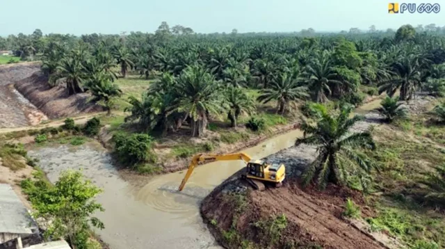 Intrusi Air Laut Lampung Selatan PU Selamatkan 8000 Ha Sawah