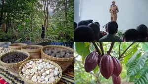 PDRB Hutan Lampung Sempit HHBK Tak Tercatat Warga Tetap Sejahtera