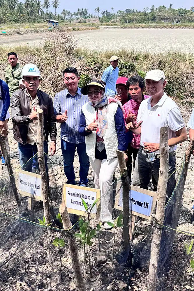 PT Sumur Makmur Abadi Tanam 6000 Mangrove di Sumber Nadi Lampung Selatan 2